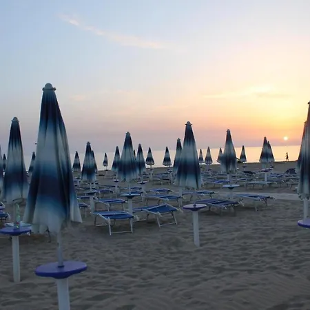 Baraka סקוליטי